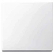 Клавиша 1-ая для выключателей и кнопок System M Merten полярно-белый