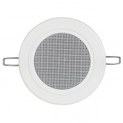 Ах. потолочн динамик 100W